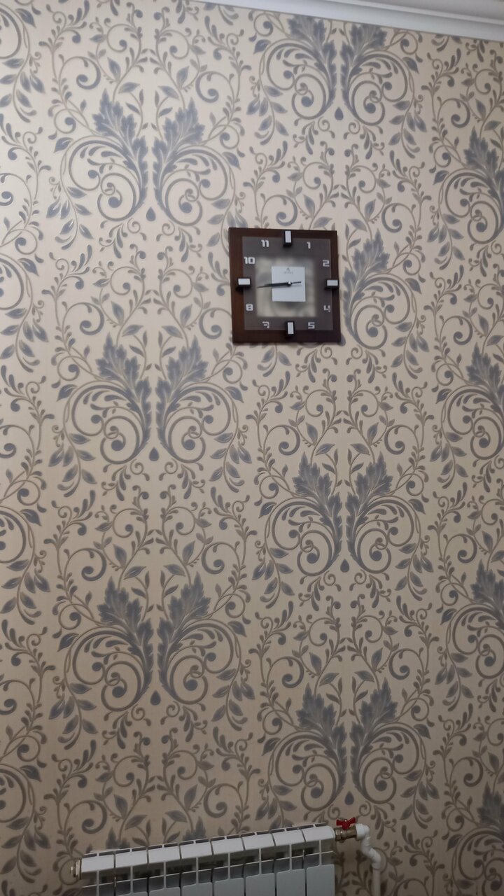 Гостиница Гармония Псков-62