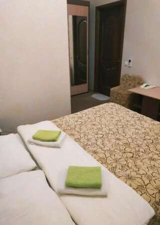 Гостиница Гармония Псков DBL--2