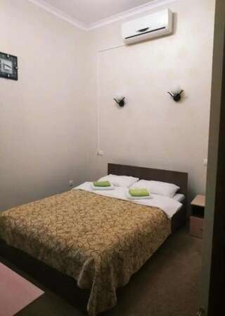 Гостиница Гармония Псков DBL--1