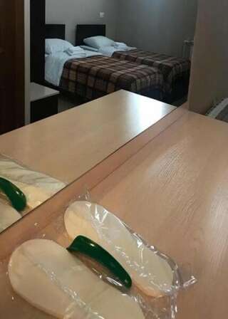 Гостиница Гармония Псков TWIN-1