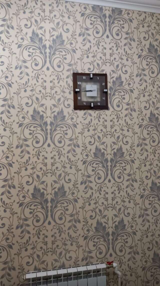 Гостиница Гармония Псков-61