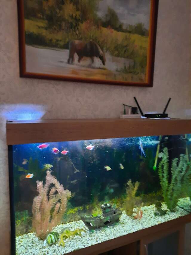 Гостиница Гармония Псков-64